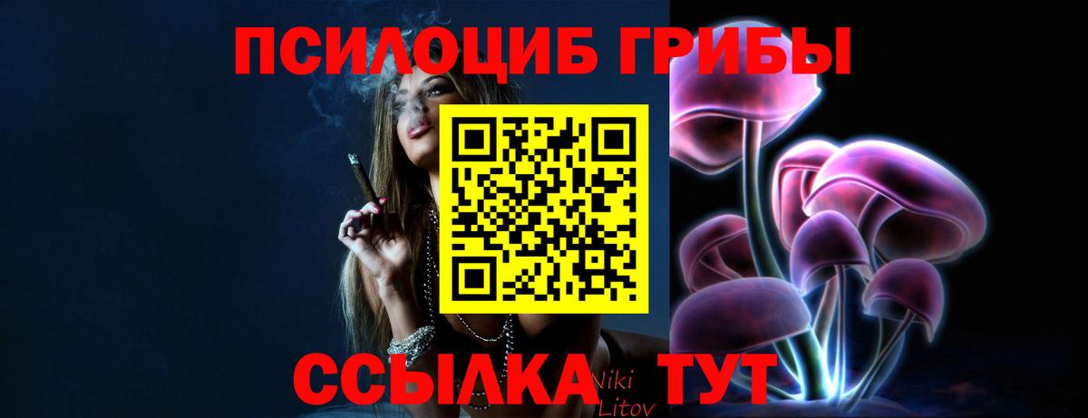Галлюциногенные грибы MAGIC MUSHROOMS Боровичи